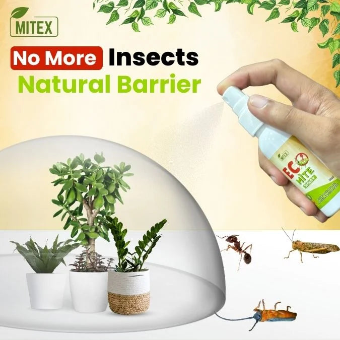 The Eco Mite Spray (Pack of 2)